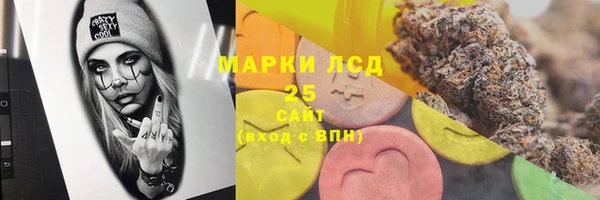 спайс Няндома