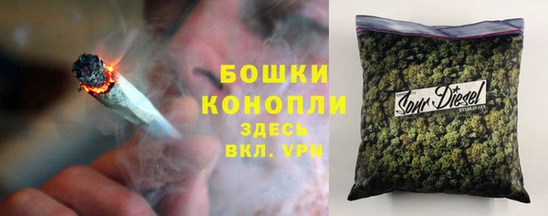бошки Новозыбков